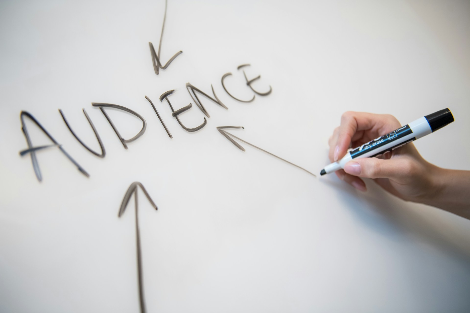 Audience SEO