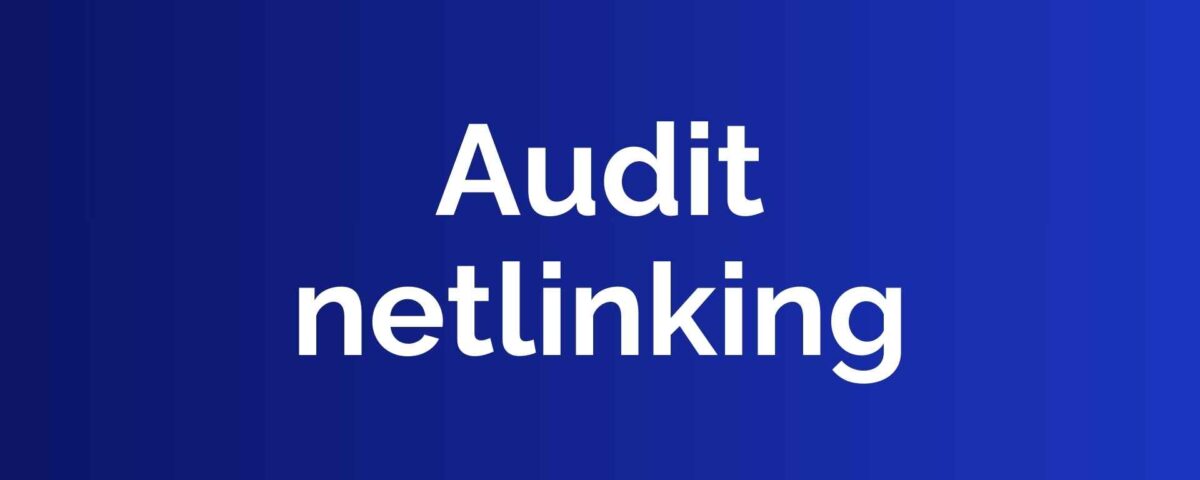 Audit netlinking