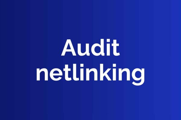 Audit netlinking : la méthode complète pour analyser votre profil de liens