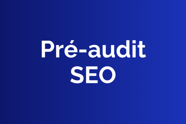 Pré-audit SEO : les vérifications essentielles avant un audit complet